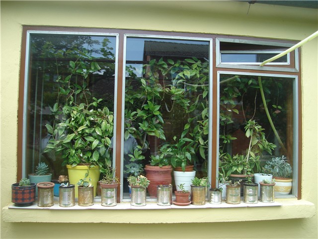 panoramik